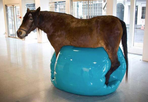 horse on a swiss ball